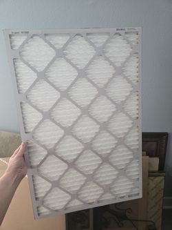 New Air Filter 20x30x1