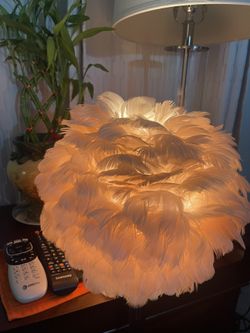 2 Lamps Rachel Zoe $40