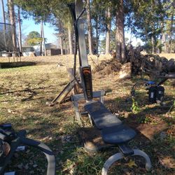 Bowflex And Iron Horse 