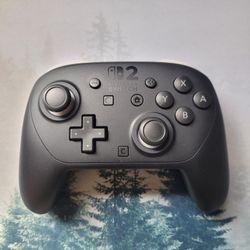 Nintendo Switch 2 Pro Controller