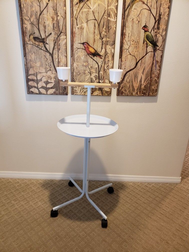 Bird PLAYSTAND