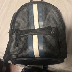 Coach Bag (look In Bio)