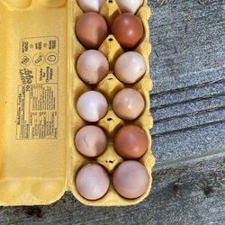 Organic Eggs!