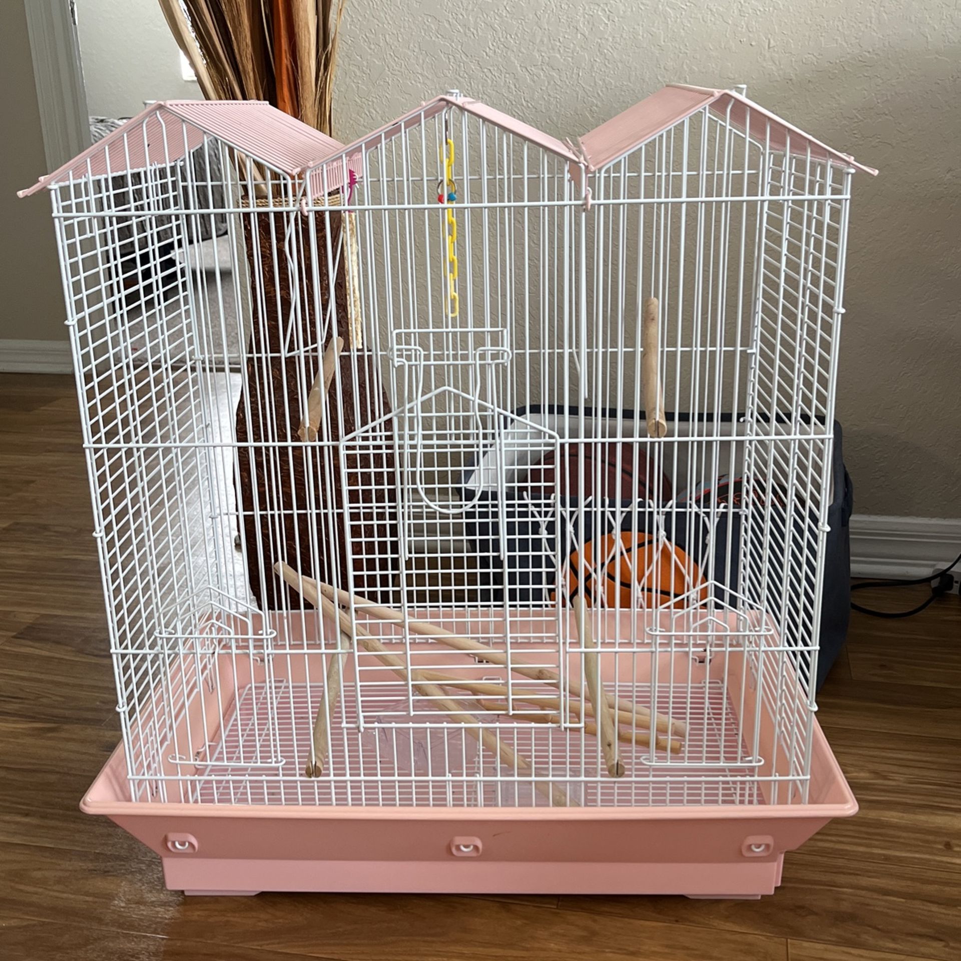 Bird Cage