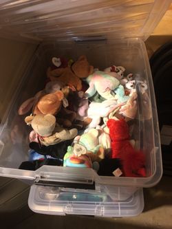 Beanie baby collection brand new around 100 authentic beanie babies