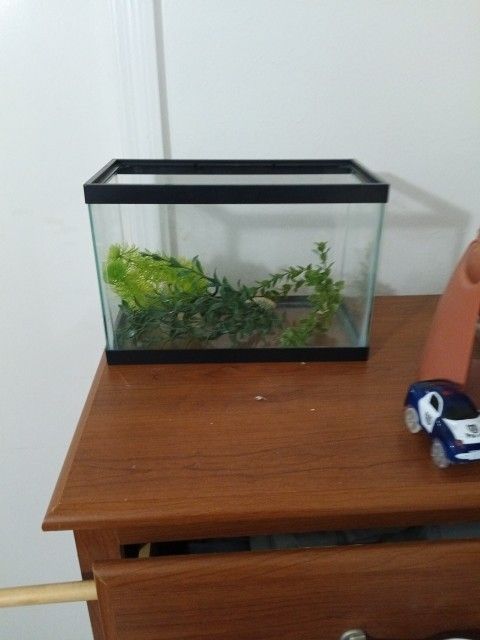 Fish Tank. 2.5 Gallon
