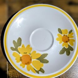 Mikasa Cera - Stone, Flora  D1375 5-  Large 5-6 Inch Saucers Vintage 1973