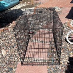Dog Cage