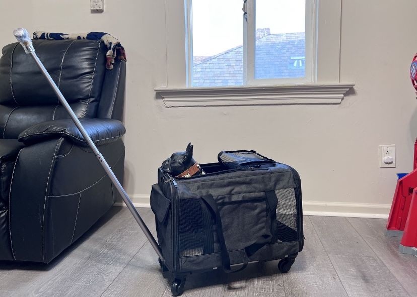 Small Dog Carrier / Pet Stroller