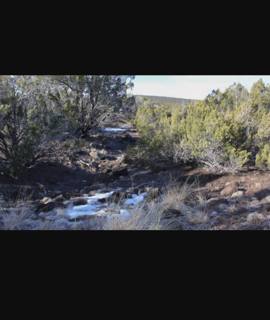 1.75 Acre In Seligman Az, Terreno De Venta
