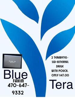 2 Terabytes-  SSD External drive  with pouch.
