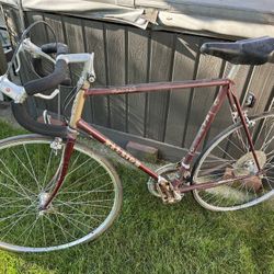 Raleigh Olympian