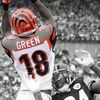 Brandon Williams