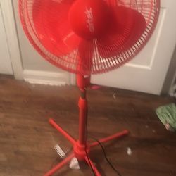 Fan