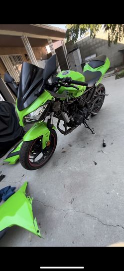 2015 Kawasaki Ninja 300
