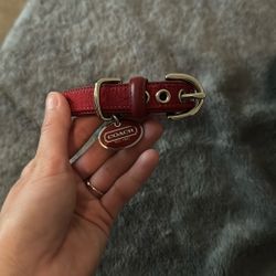 Coach Dog Collar 