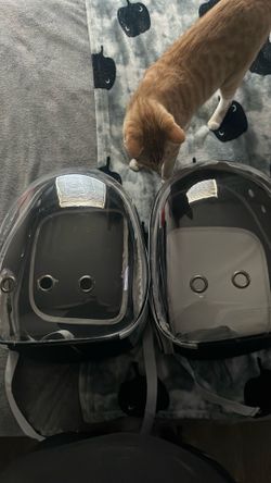 Pet backpacks NEW NEVER USED