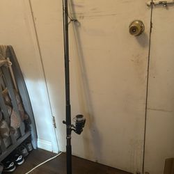 Fishing Rod And Reel