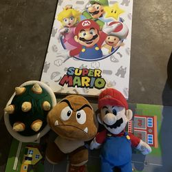 Súper Mario Canvas And Plushies 