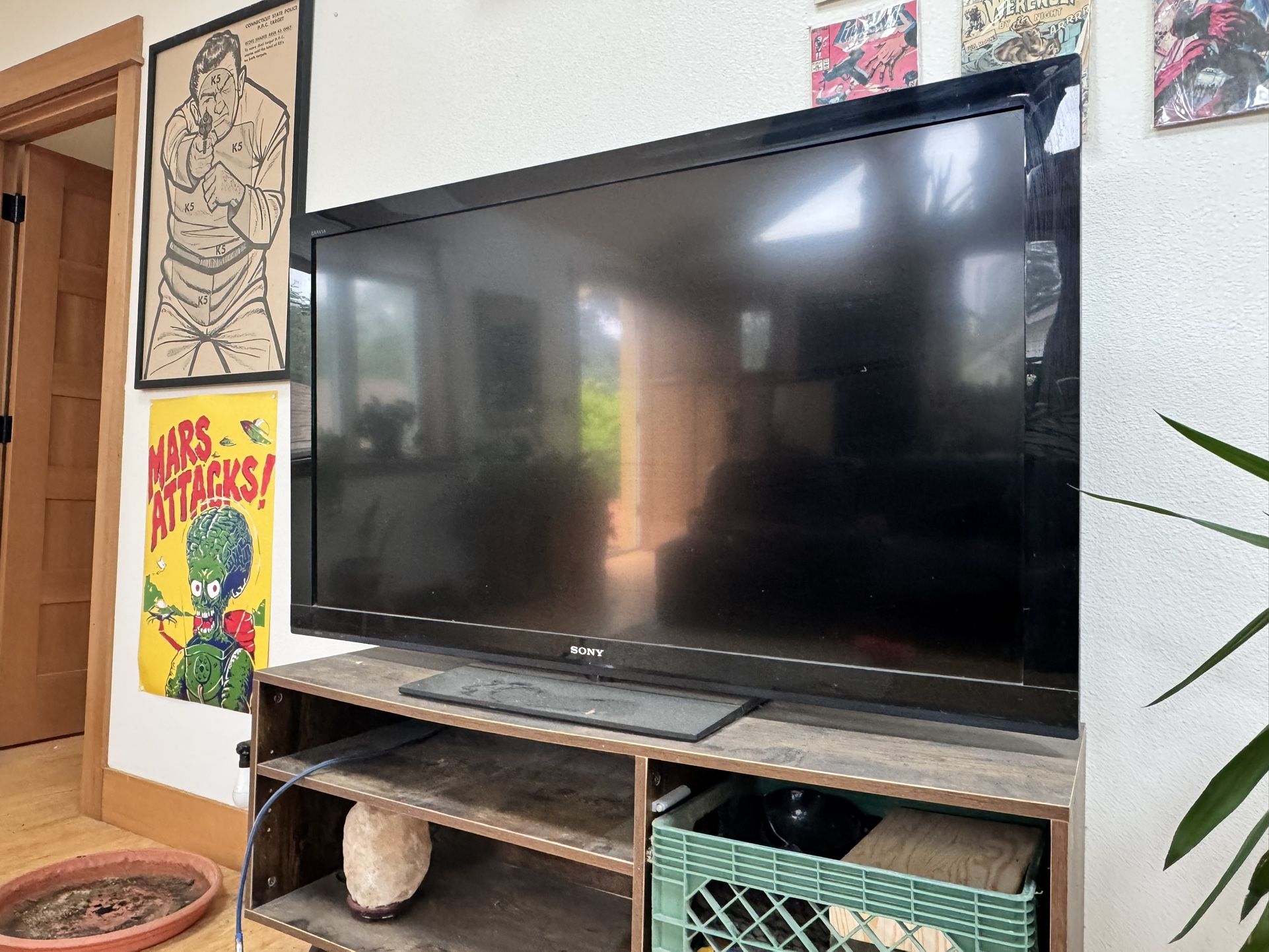 55” Sony Bravia