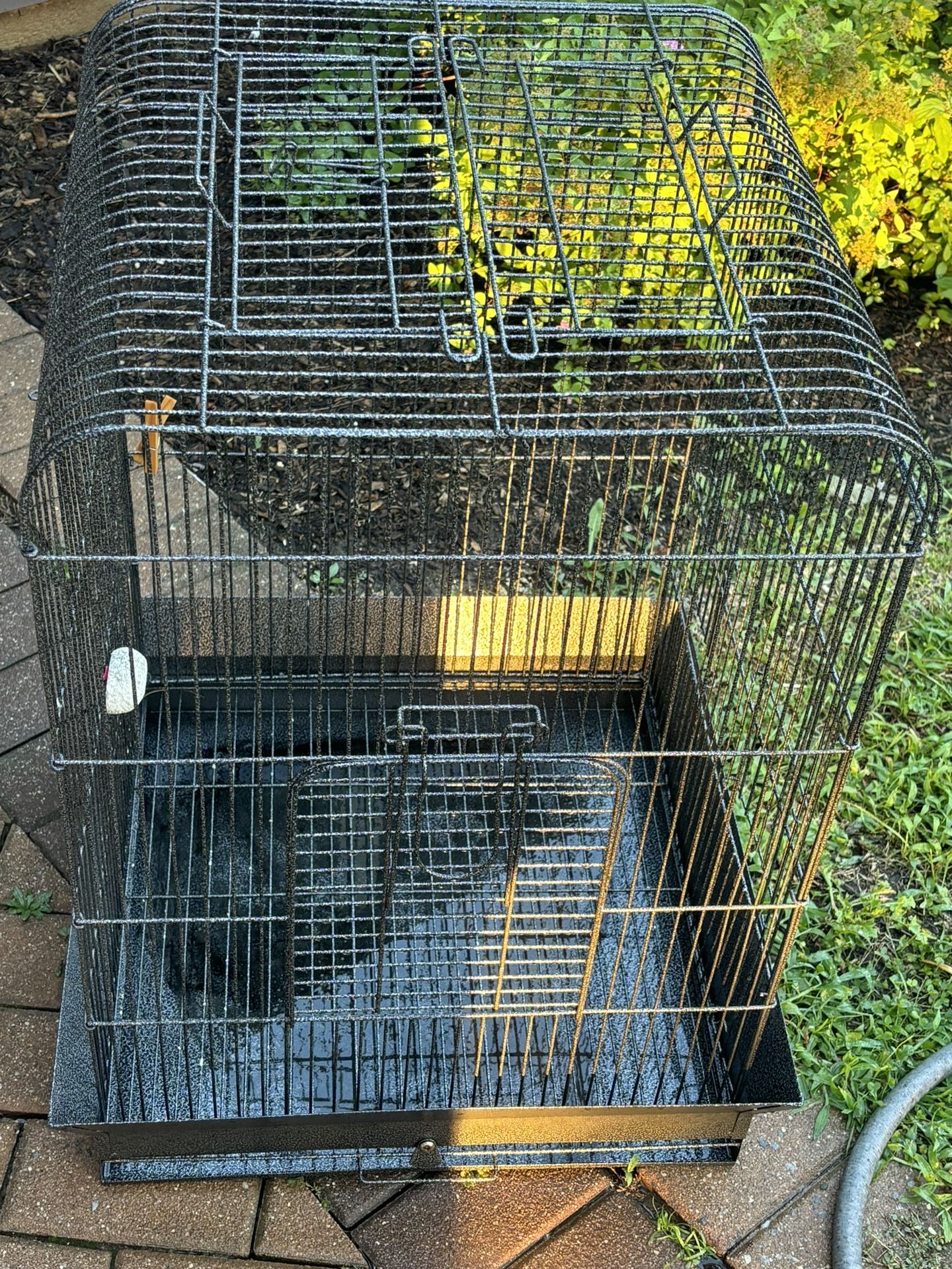 Bird Cage Plus Free Items