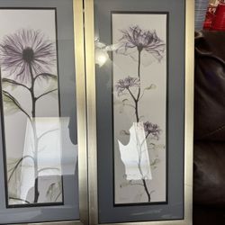 Lavender Pictures 