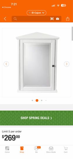 Home Decorators Collection Hamilton 20 in. W x 27 in. H Rectangular Medicine Cabinet with Mirror