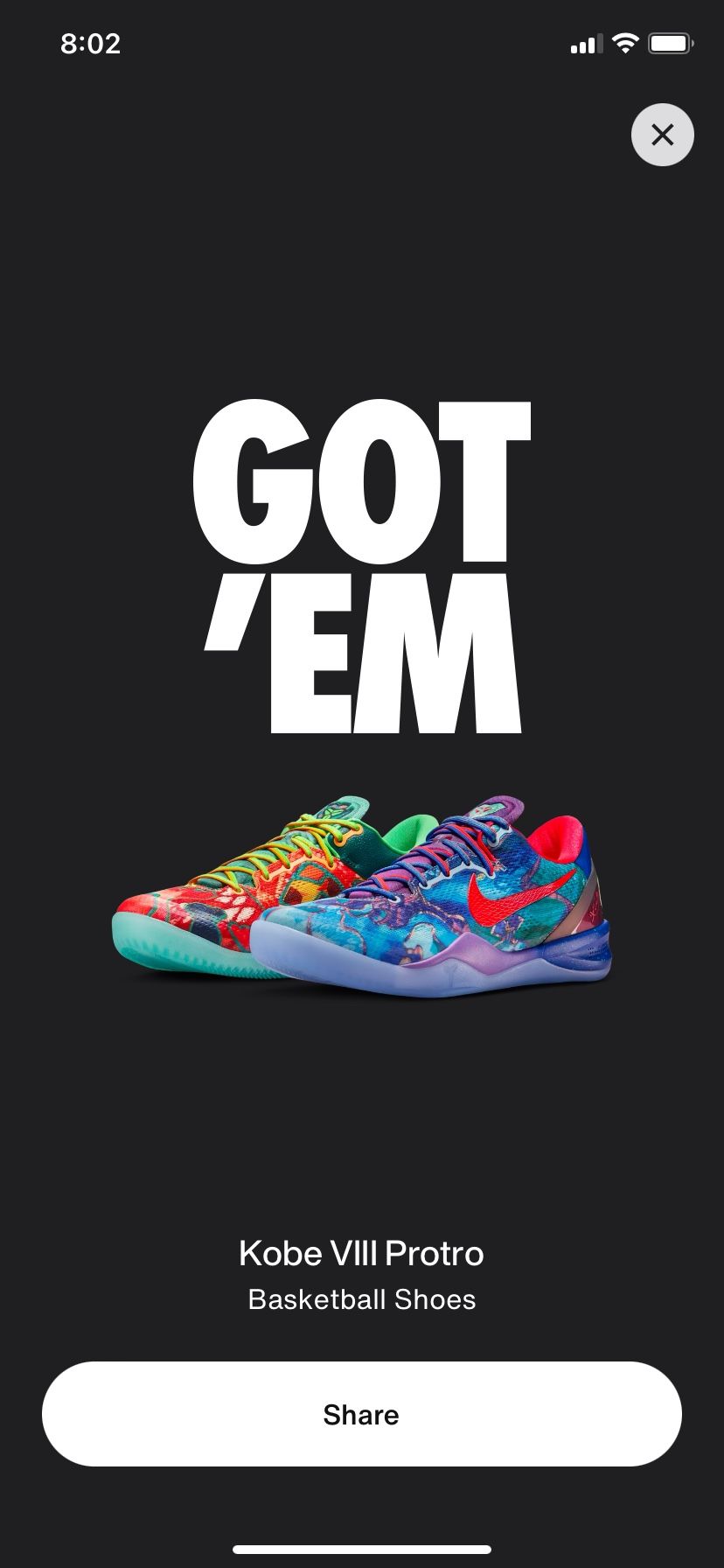 What The Kobe 5y