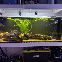 135 Gallon Acrylic Tank