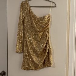 Windsor Sparkly Dress