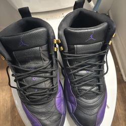 Jordan 12 Purple 