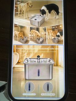 Silent 4.5 gallon dog water fountain with blue light