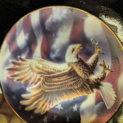 5 American Eagle Commerative Plates