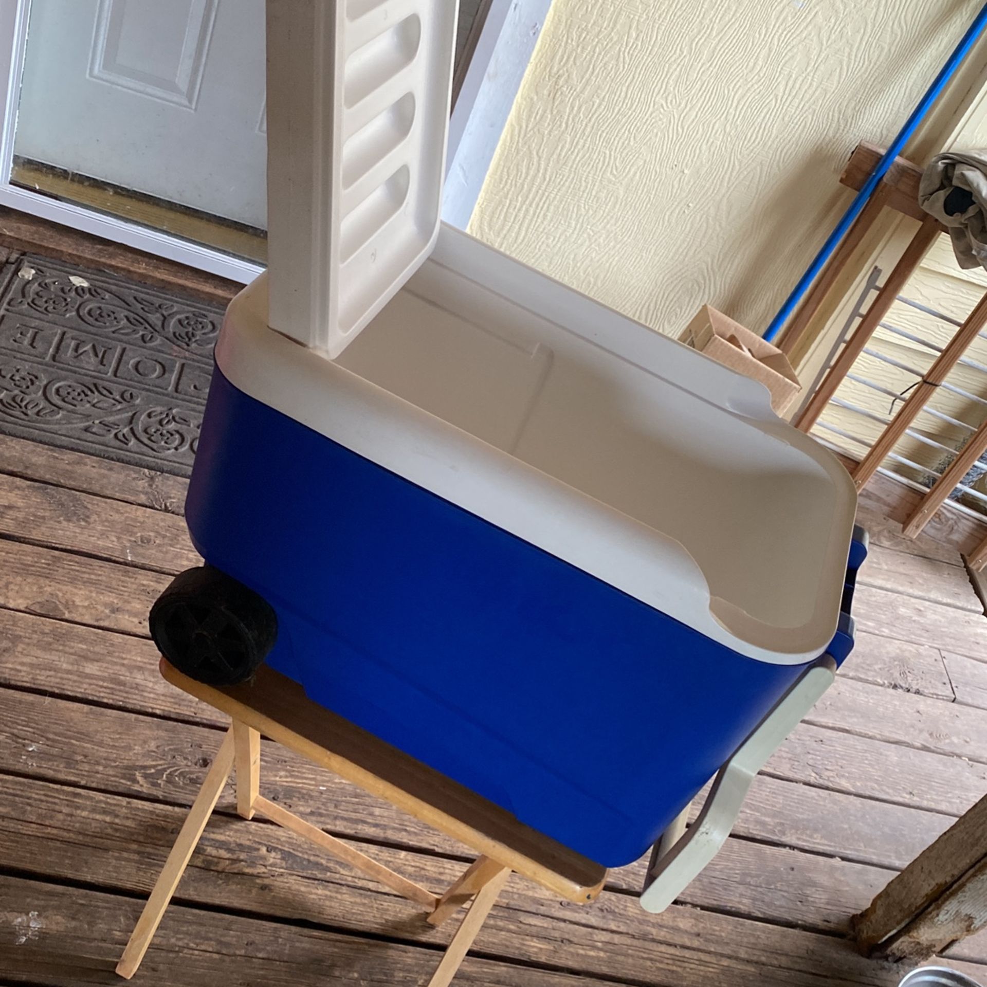Igloo Cooler 