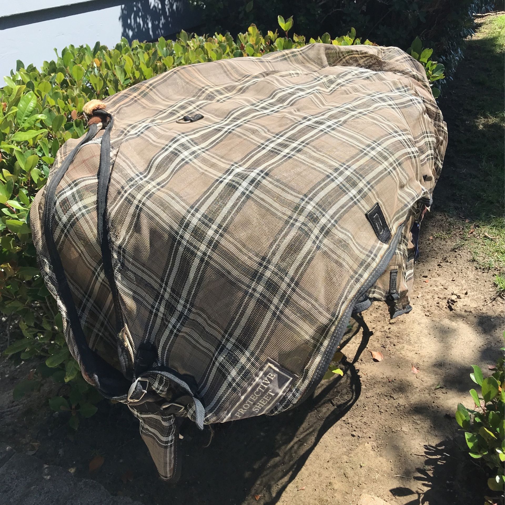 Kensington Flysheet 69” Great Condition!!