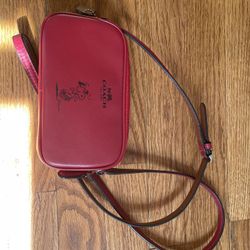 Coach Bag ( Snoopy) 