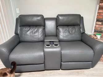 Electric love seat sofa color grey