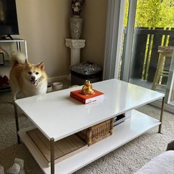 White Modern Coffee Table 