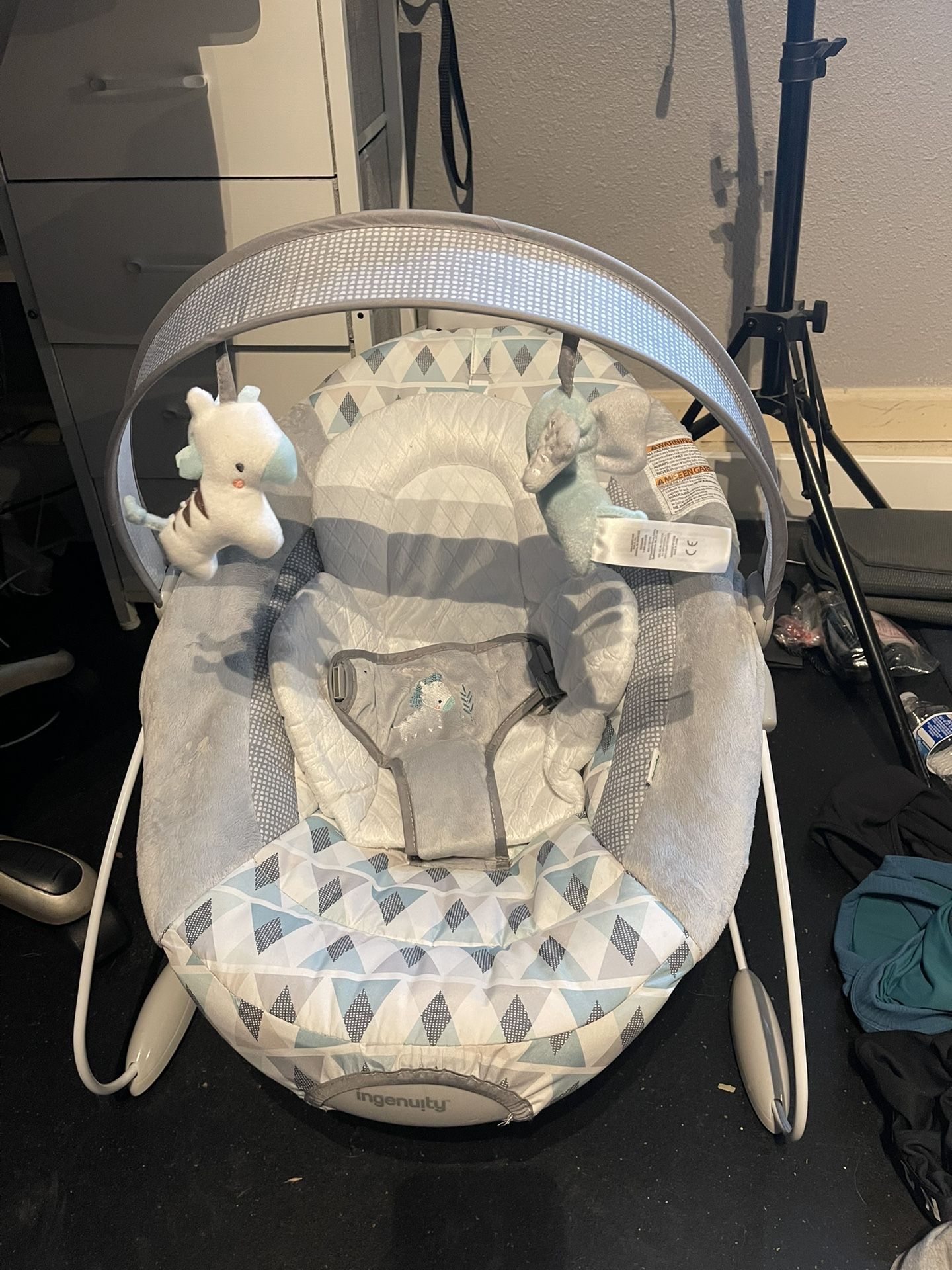 Ingenuity Baby Bouncer