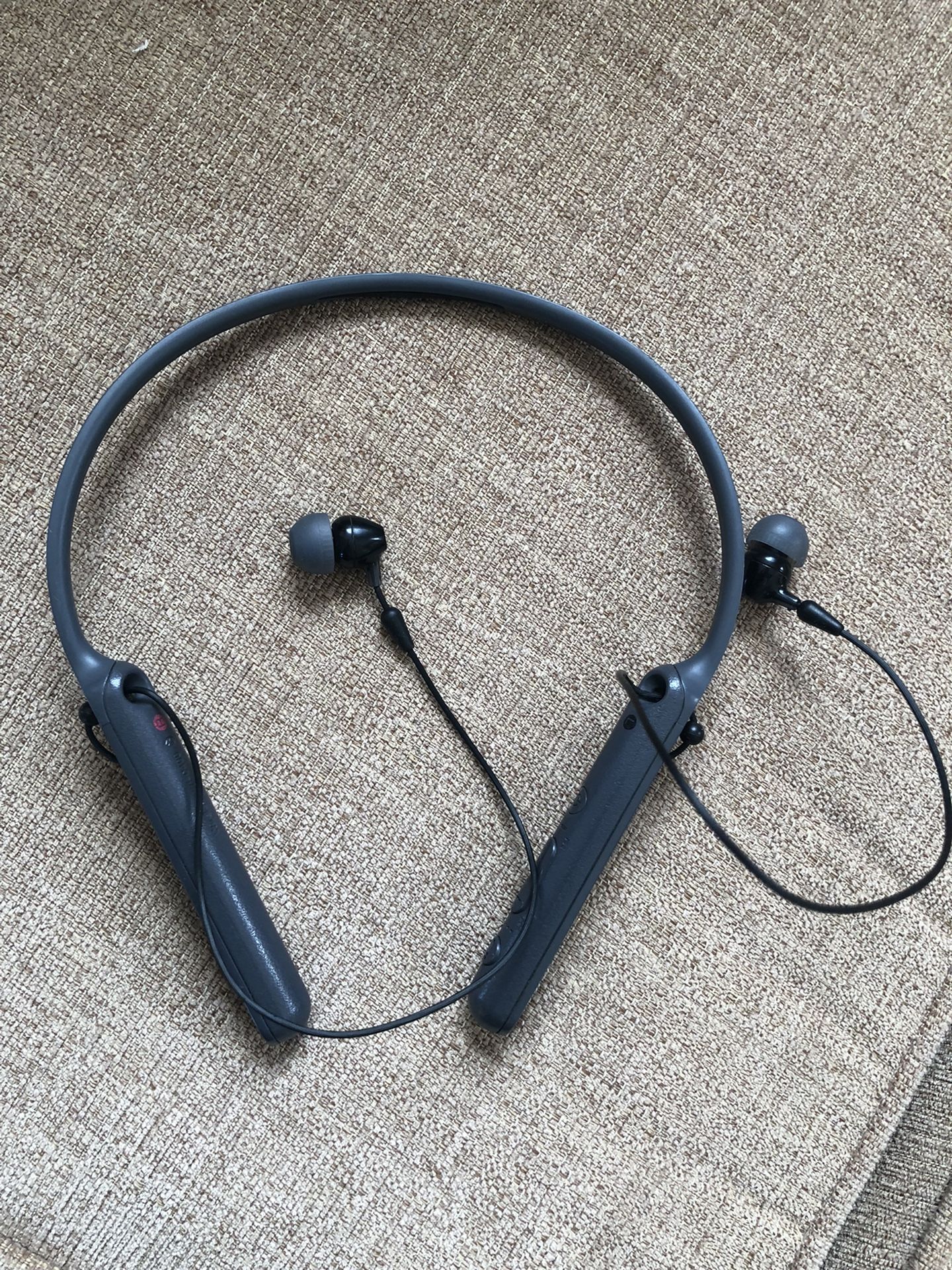 Sony Headphones C400