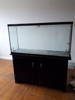 Fish tank