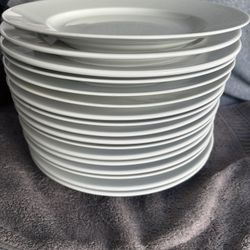 Crate & Barrel Dinner/charger Plates. Lot Of 17... 12" Around  Made In Poland Mint Condition 