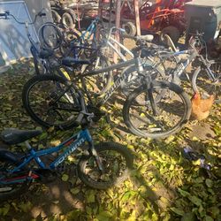 Lot Of Bikes  And Bike Parts