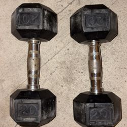 20 lb rubber dumbbell set 