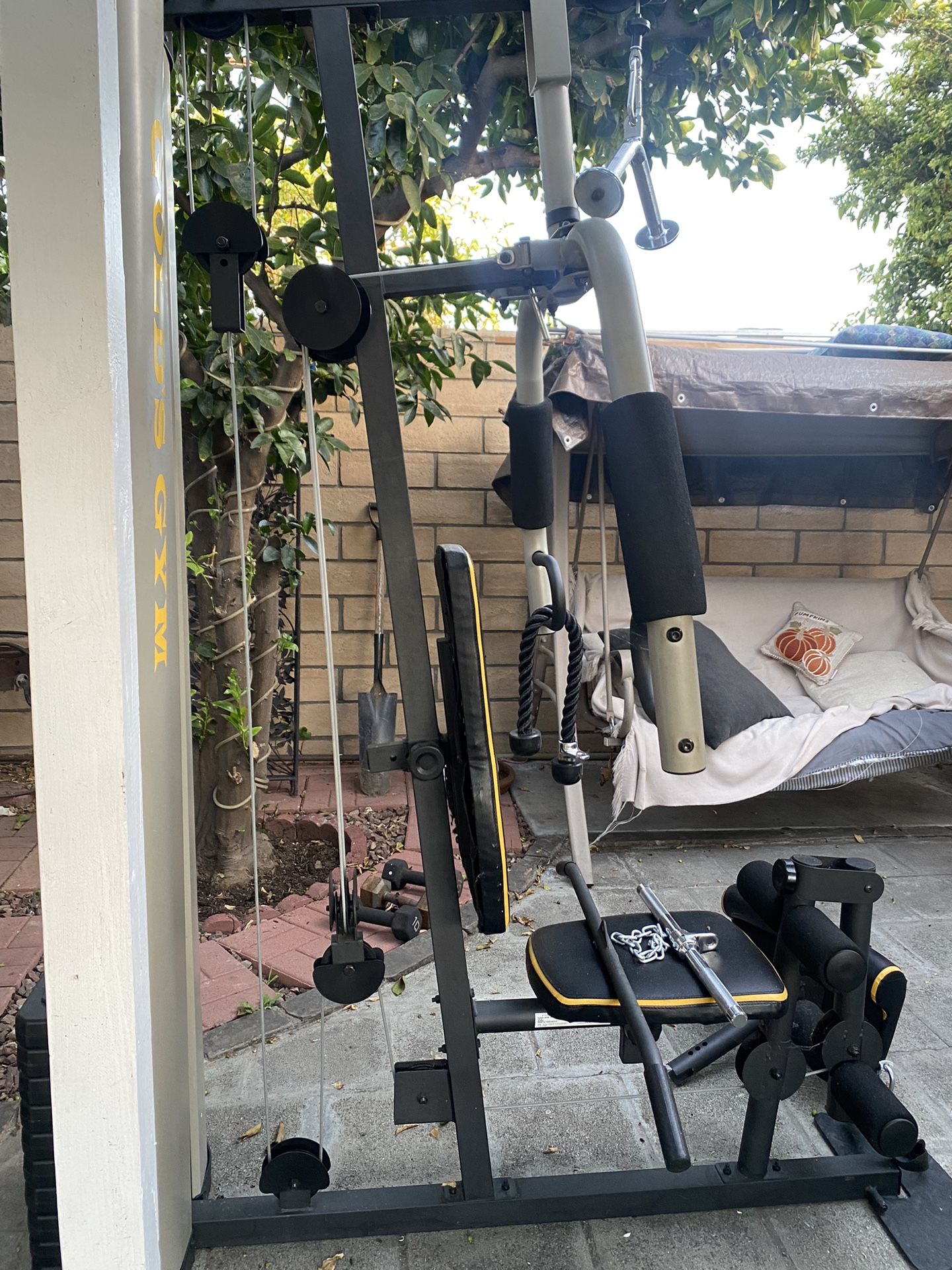Golds Gym XR 55 for Sale in Los Angeles, CA - OfferUp