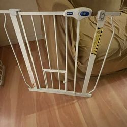 Top Paw Indoor Hallway Doggy Door 