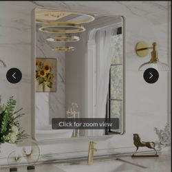 LOAAO 20X30 Inch Brushed Nickel Bathroom Mirror, Rounded Rectangle Silver Metal Frame Mirror, Brushed Nickel, Anti-Rust, Shatter