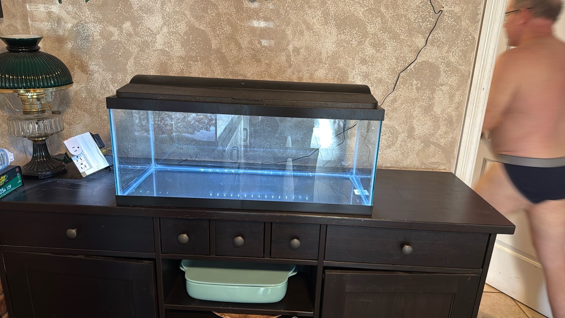 20 Gallon Long Fish Tank With Hood And Light for Sale in Boulder City ...