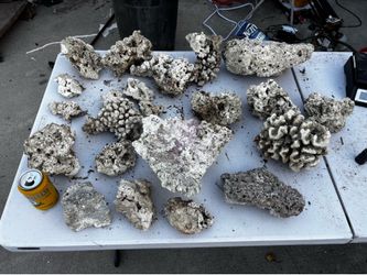 Dry rock for reef tank aquarium 50lbs