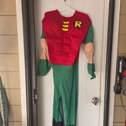 Robin Superhero Halloween Costume Adult MEDIUM